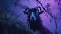 Cinematic Forestpunk: A Demonic Photograph Of A Goat In The Rain