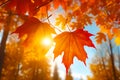 a warm view of autumn leaves sun flare lens effect nostalgic lighting cinematic atmosphere generative ai