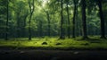 Cinematic Green Forest With Oak - Janek Sedlar Inspired