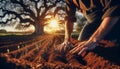 A cinematic portrayal of a farmer\'s rugged hands planting seeds Royalty Free Stock Photo