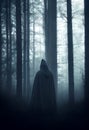 A cinematic style halloween hooded grim reaper type figure looking to the right standing in misty forest woodland. Royalty Free Stock Photo