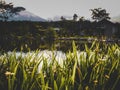 Cinematic sunset in Indonesia