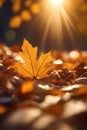 Autumn leaves bright sunrise sun flare lens effect nostalgic lighting cinematic atmosphere generative ai