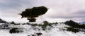 Cinematic 3d rendering of winter landscape with a fantasy steampunk airship flying over snow covered mountains.