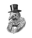 Cinereous vulture character with monocle in a hat. Fashionable Aristocrat or Rich Man. Hand drawn bird. Engraved old