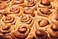 Cinnabon cinnamon buns. Baked with raisins and nuts in sugar syrup.