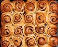 Cinnabon cinnamon buns. Baked with raisins and nuts in sugar syrup. Royalty Free Stock Photo