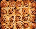 Cinnabon cinnamon buns. Baked with raisins and nuts in sugar syrup.