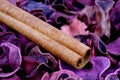 Cinnamon Royalty Free Stock Photo