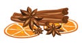 Cinnamon, anise and orange on a white background.