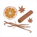 Cinnamon, anise star, vanilla and dried orange slice spice set, hand drawn illustrations of seasoning, mulled wine Royalty Free Stock Photo