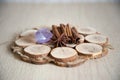 Cinnamon and anise on wooden plate