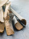 Cinnamon Bark Royalty Free Stock Photo