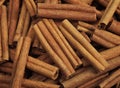 Cinnamon Bark, cinnamomum zeylanicum Royalty Free Stock Photo