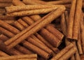 Cinnamon Bark, cinnamomum zeylanicum