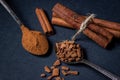 Cinnamon on a black background. A spoonful of young cinnamon lies next to a spoonful of crushed cinnamon.