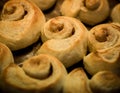 Cinnamon buns baking in the oven