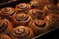 cinnamon buns in a baking pan