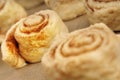 Cinnamon cakes Royalty Free Stock Photo