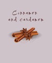 Cinnamon and cardamom. Vector illustration of food.