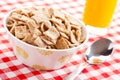 Cinnamon cereal in bowl Royalty Free Stock Photo