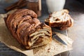 CInnamon chocolate babka