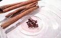 cinnamon and cloves on aplate with white background Royalty Free Stock Photo