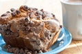 Cinnamon coffee cake with chocolate chips on a plate Royalty Free Stock Photo