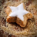 Cinnamon cookie Royalty Free Stock Photo