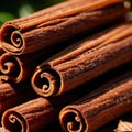 cinnamon, dried herbs seasoning for cooking ingredient