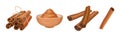 Cinnamon Dried Sticks or Bark Strips Vector Set