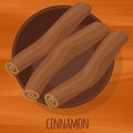 Cinnamon flat design icon.