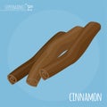 Cinnamon flat design vector icon