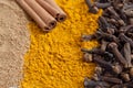 Cinnamon ground and in sticks, cloves, curry Royalty Free Stock Photo