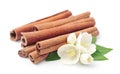 Cinnamon with jasmin flowers Royalty Free Stock Photo