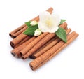 Cinnamon with jasmin flowers Royalty Free Stock Photo