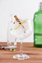 Cinnamon and juniper gintonic Royalty Free Stock Photo