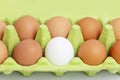 Cinnamon and one white chicken egg in an eco-green green paper container. Healthy diet food. Close-up. White background