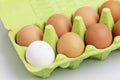 Cinnamon and one white chicken egg in an eco-green green paper container. Healthy diet food. Close-up. White background