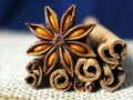 Cinnamon and poder on white and macro style spice cooking