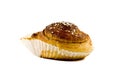 Cinnamon roll isolated on white Royalty Free Stock Photo