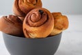 Cinnamon rolls buns in grey bowl. Macro focus Royalty Free Stock Photo