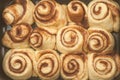 Cinnamon rolls or cinnabon handmade raw dough preparation sweet traditional dessert buns pastry food baked homemade swirl Danish Royalty Free Stock Photo