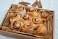 Cinnamon rolls with sugar frosting. With cinnamon sticks and spices, wooden background Royalty Free Stock Photo