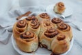 Cinnamon rolls with sugar frosting. With cinnamon sticks and spices, wooden background Royalty Free Stock Photo