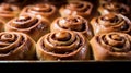 Cinnamon rolls: Swirled spirals of soft, sweet dough, glazed with icing. A warm, comforting treat