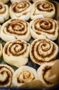 Cinnamon rolls in a tray Royalty Free Stock Photo