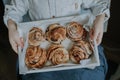 Cinnamon rolls on a tray Royalty Free Stock Photo