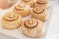 Cinnamon rolls on white plate. Royalty Free Stock Photo