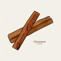 Cinnamon sketch illustration. Nice hand drawn cinnamon sticks vector